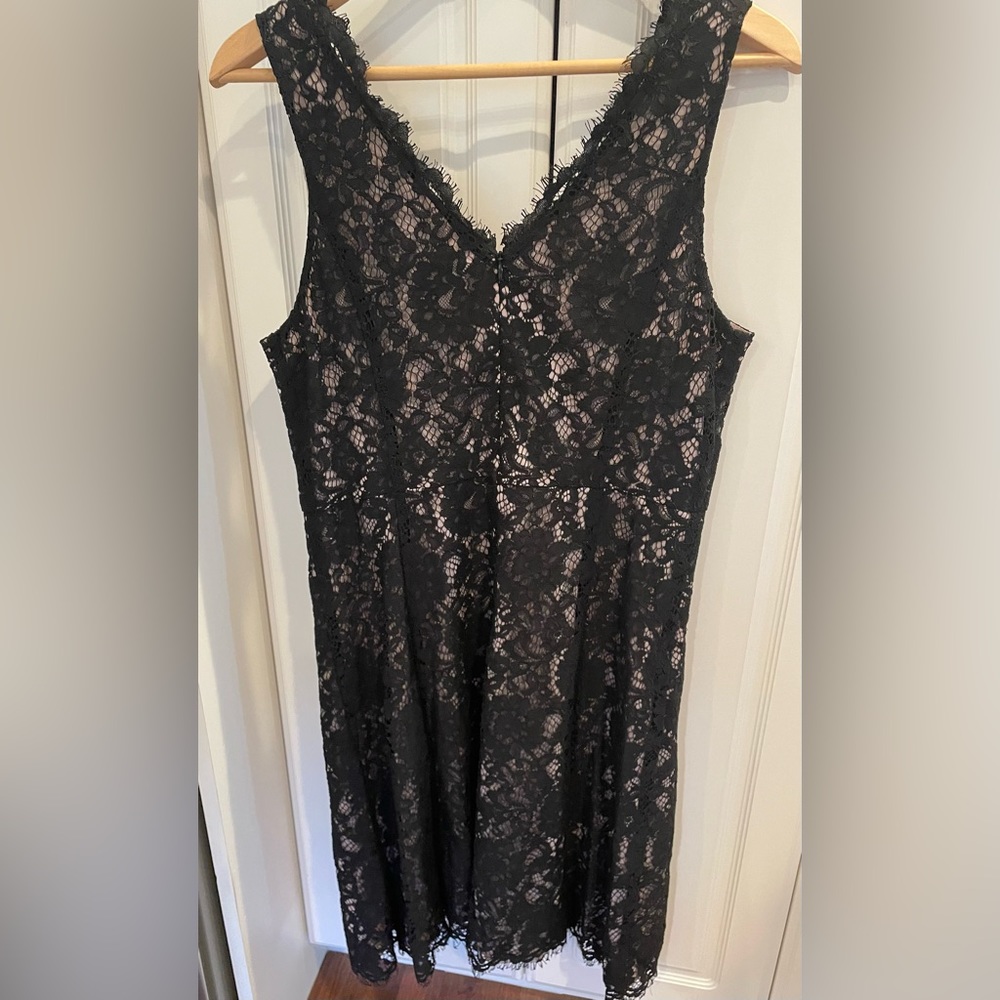 LOFT | Lace Dress NWT Size 8